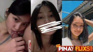 Shorthair chinata na may pagka manyakis